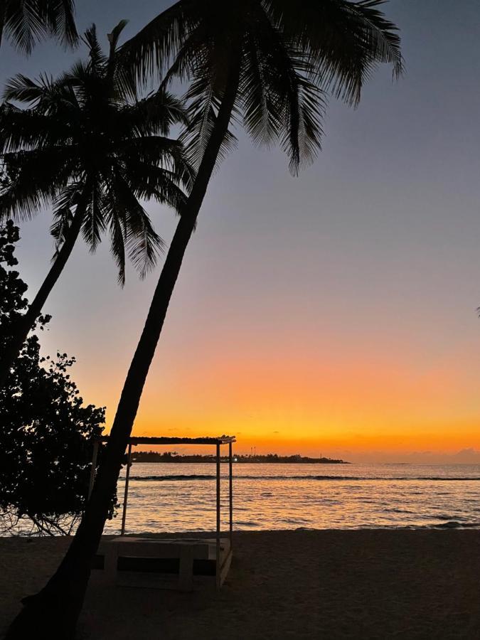 Samura Maldives Guest House Thulusdhoo Eksteriør billede