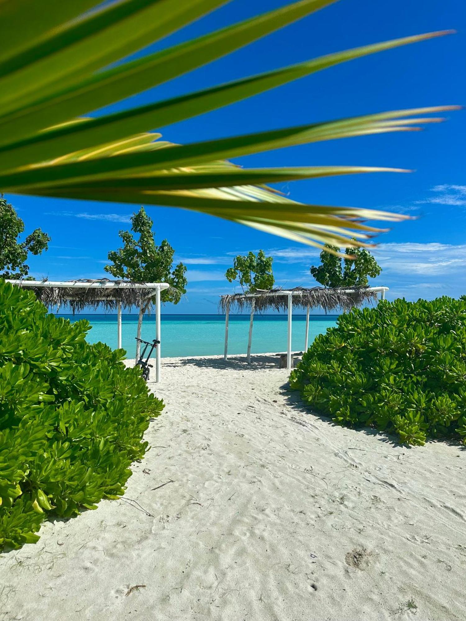 Samura Maldives Guest House Thulusdhoo Eksteriør billede